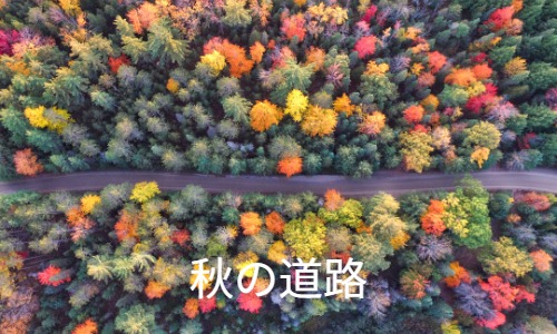 秋の夕暮れ運転注意
